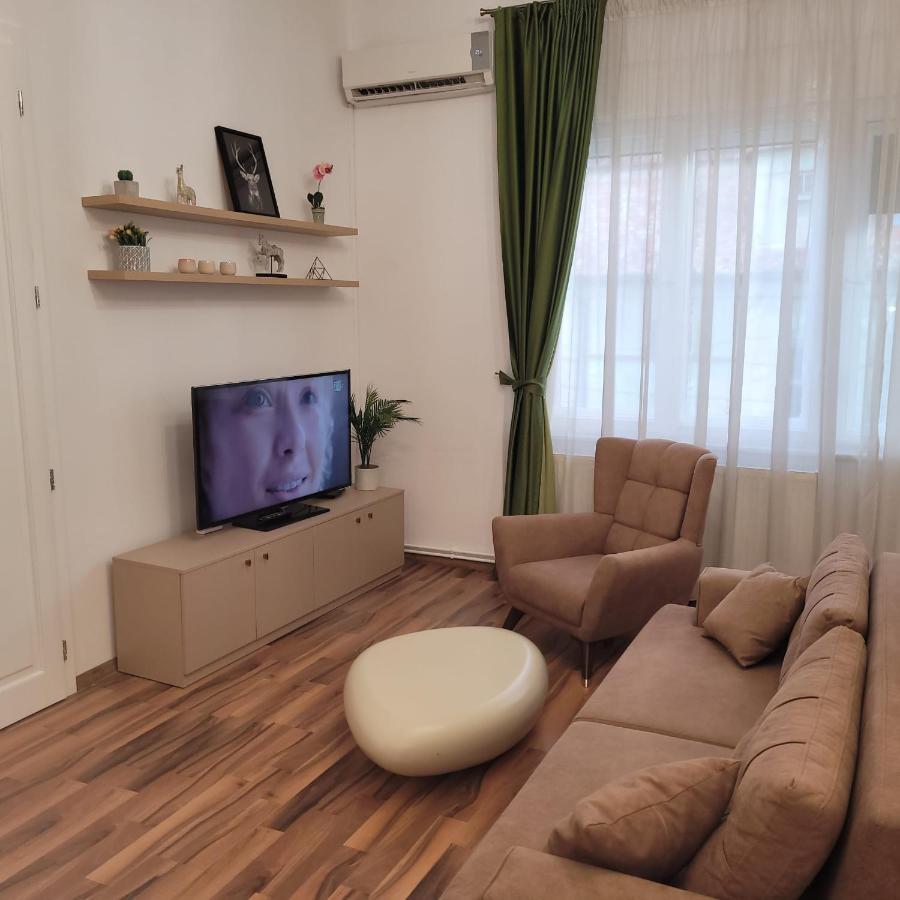 B8 - Spacious, Charming Apartment In Central سيبيو المظهر الخارجي الصورة